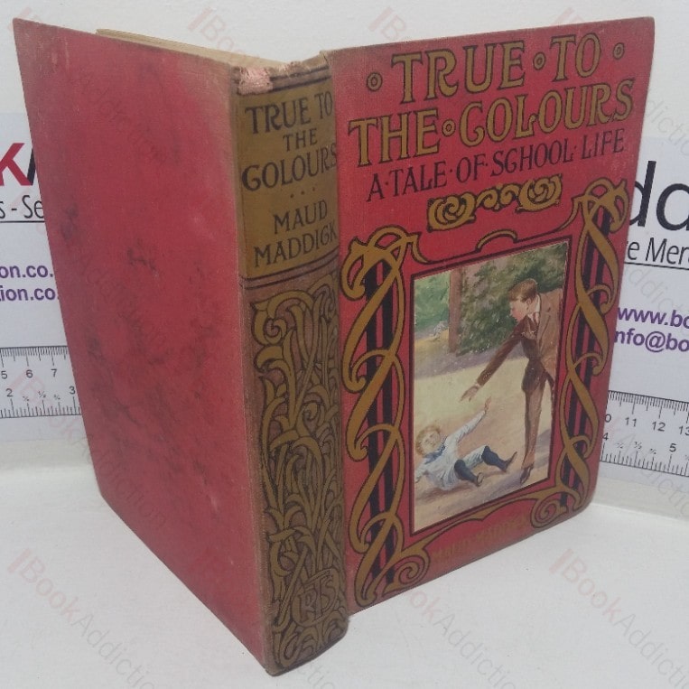 True to the Colours: A Tale of School Life 9Every Boy’s Bookshelf series)